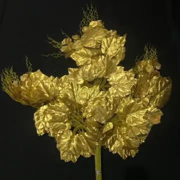 Daun Anggur Emas NP