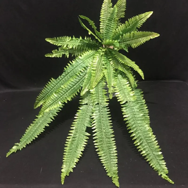 Daun Pakis Sedang