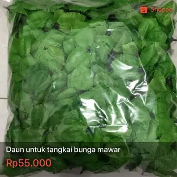 Daun untuk Tangkai Bunga Mawar