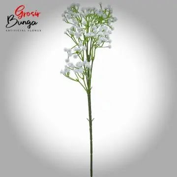 Bunga Babys Breath Putih