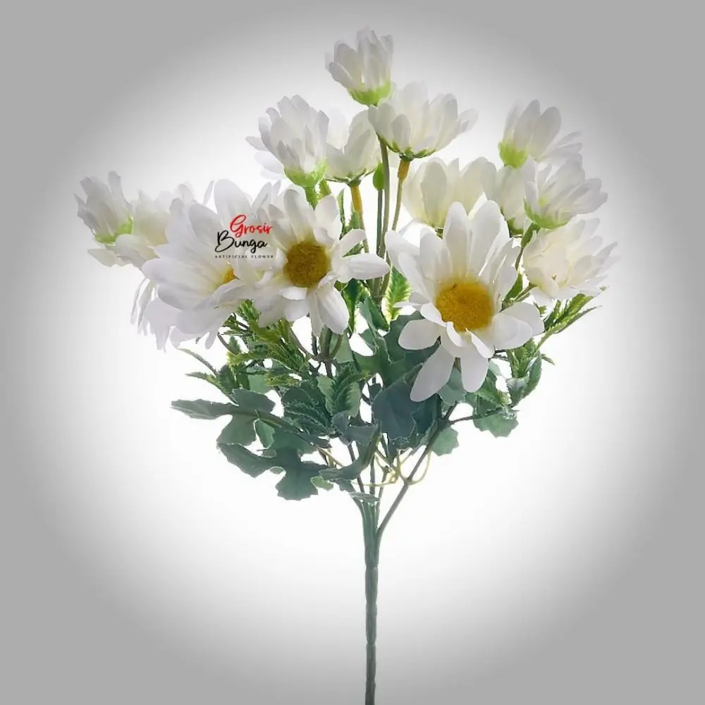 Bunga Aster Putih