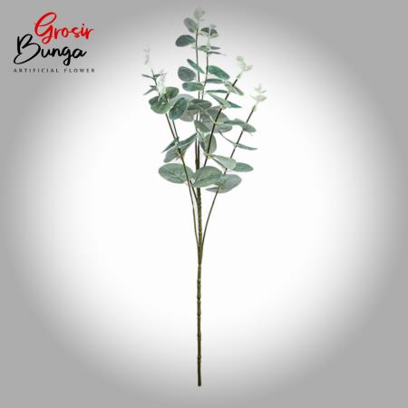 Daun Silver Dollar Cabang 6