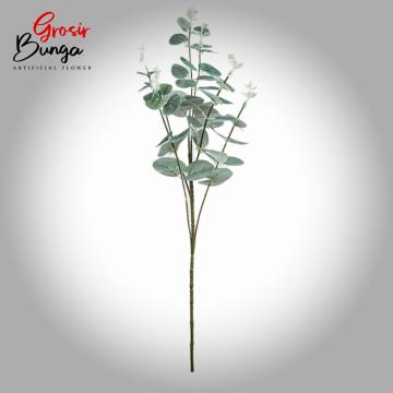 Daun Silver Dollar Cabang 6