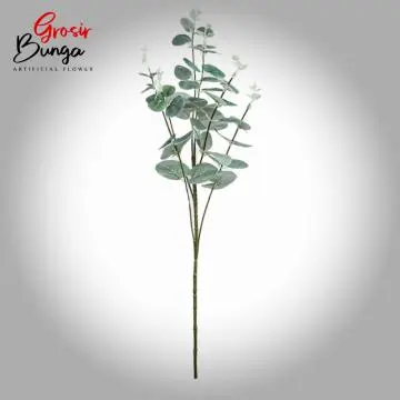 Daun Silver Dollar Cabang 6