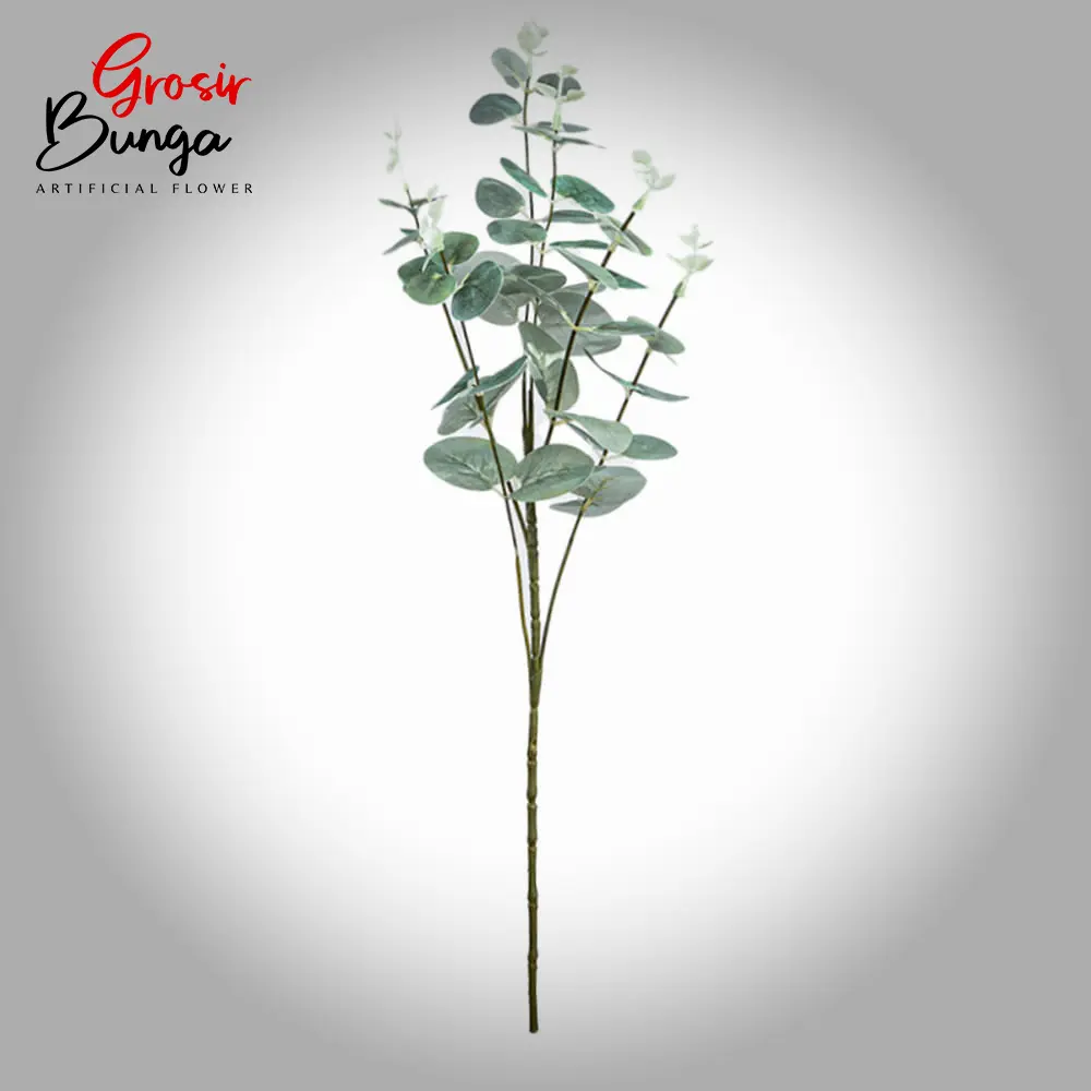 Daun Silver Dollar Cabang 6