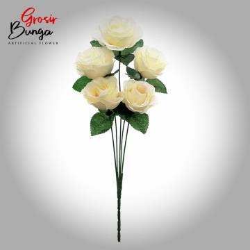 MIni Rose Salem K5