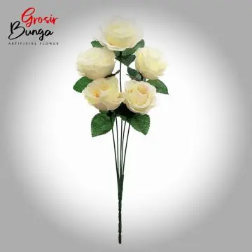 MIni Rose Salem K5