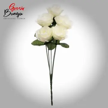 Mini Rose Putih K5