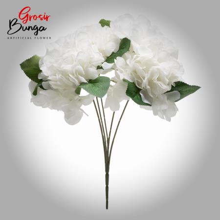Bunga Hortensia Putih K5