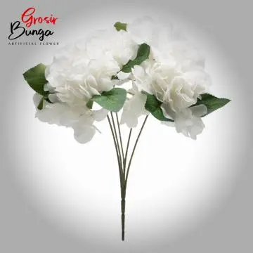 Bunga Hortensia Putih K5