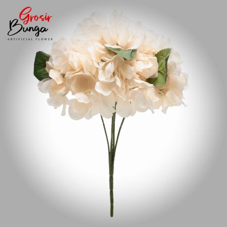 Bunga Hortensia Peach Muda K5