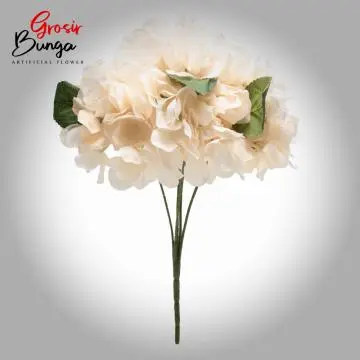 Bunga Hortensia Peach Muda K5