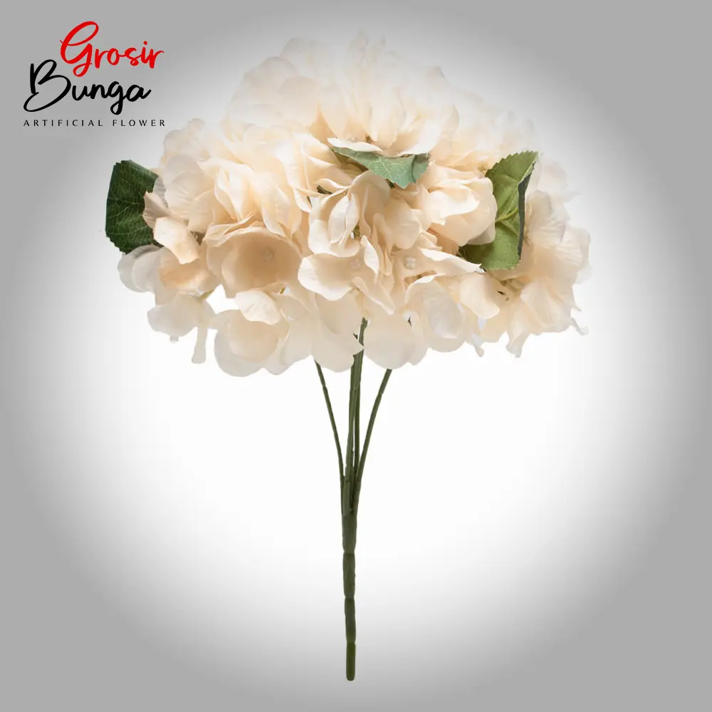Bunga Hortensia Peach Muda K5
