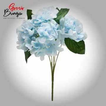 Bunga Hortensia Biru K5