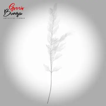 Daun Bulu Putih