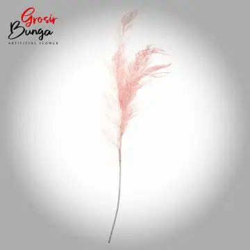 Daun Bulu Pink