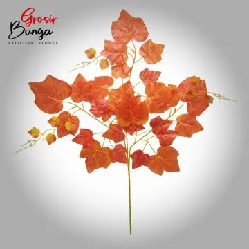 Daun Anggur Orange  12 pcs