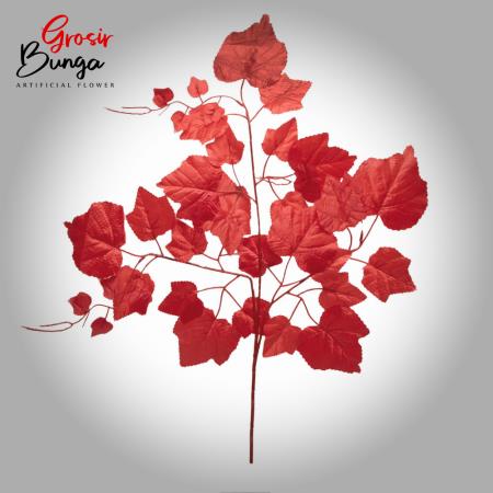 Daun Anggur Merah  12 pcs