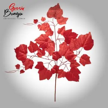 Daun Anggur Merah  12 pcs