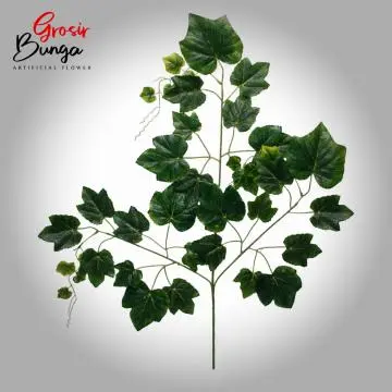 Daun Anggur Hijau Tua  12 pcs