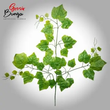 Daun Anggur Hijau Muda  12 pcs