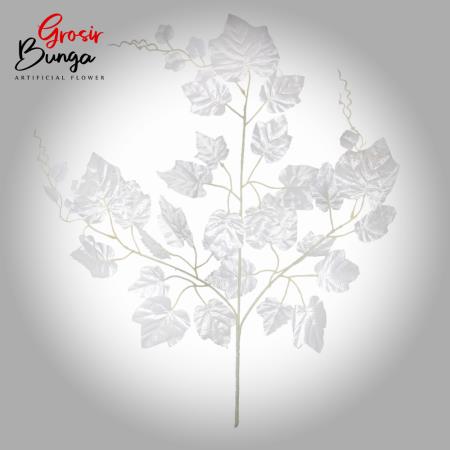 Daun Anggur Putih NP