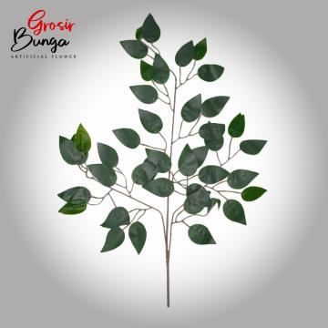 Daun Beringin Hijau