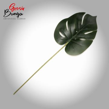 Daun Monstera Kecil