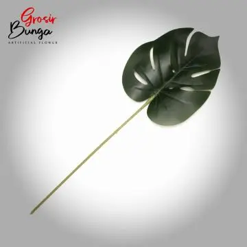 Daun Monstera Kecil