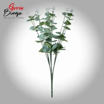 Daun Silver Dollar K16