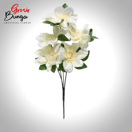 Bunga Dahlia Putih K5