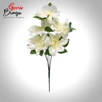 Bunga Dahlia Putih K5
