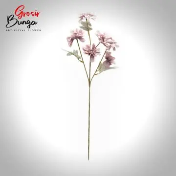 Bunga Aster Ungu