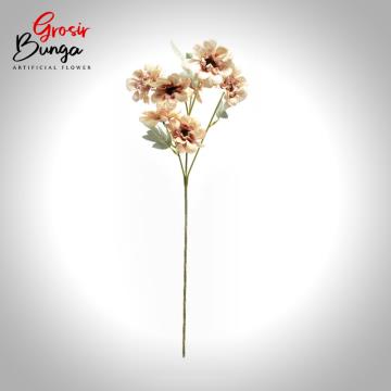 Bunga Aster Peach