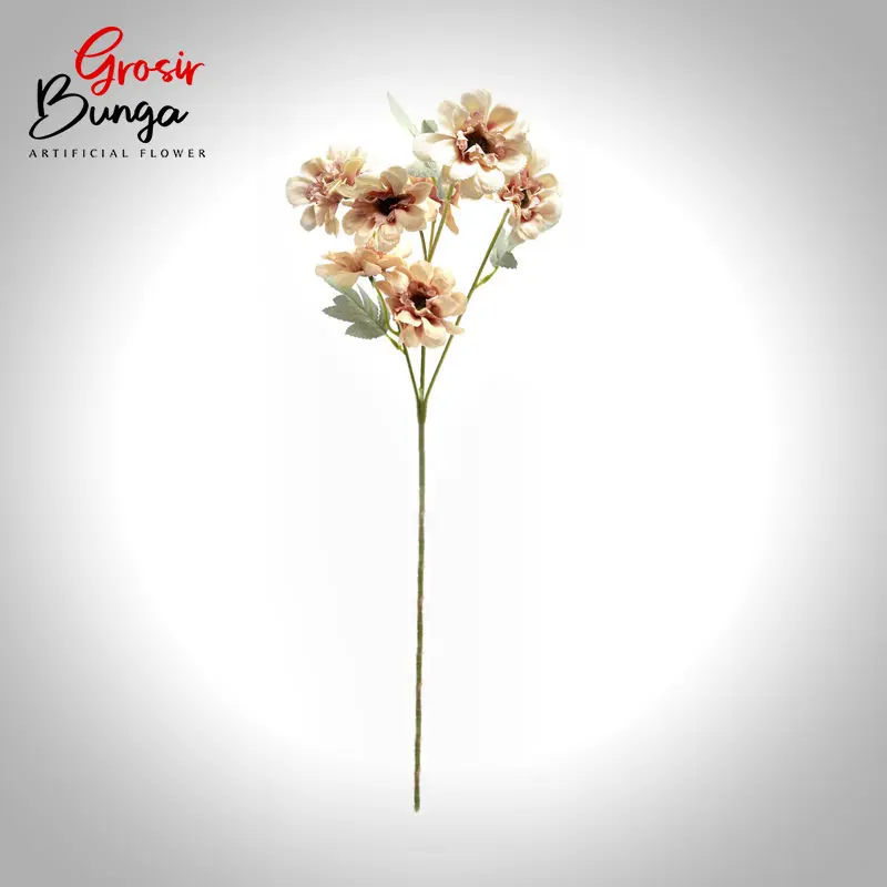 Bunga Aster Peach