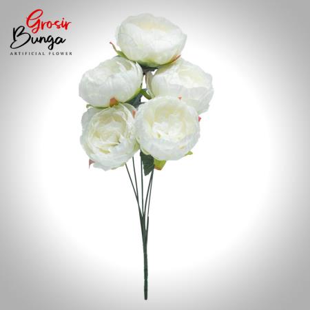 Bunga Peony Putih