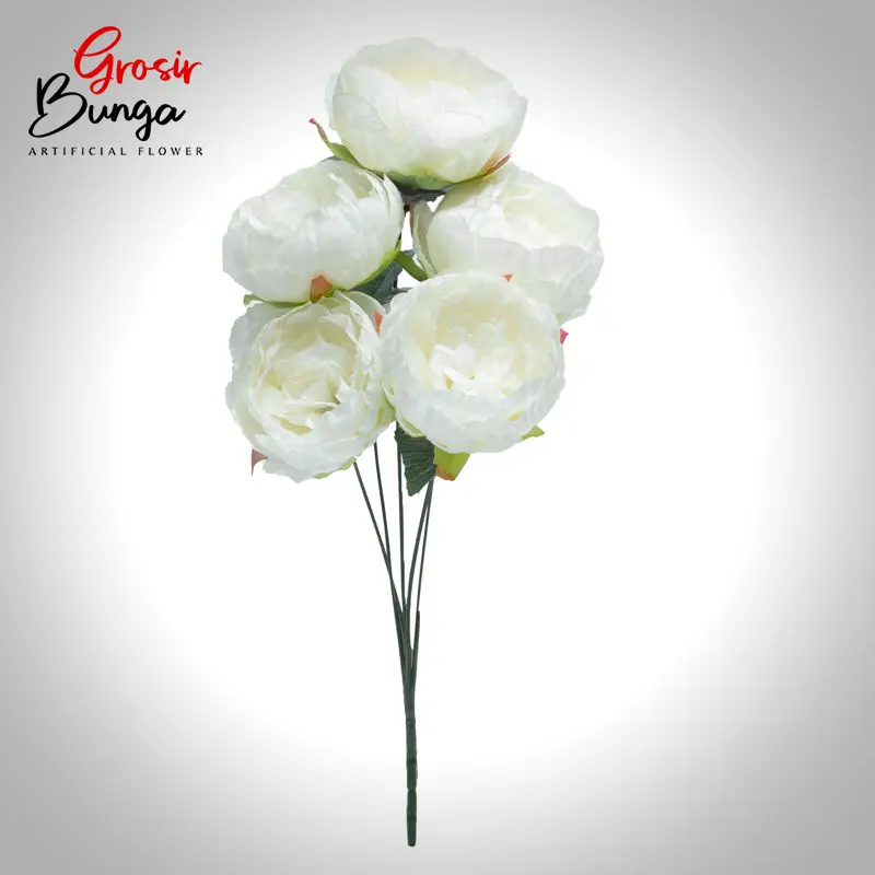 Bunga Peony Putih