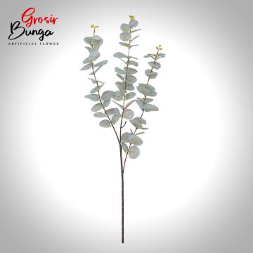 Daun Eucaliptus