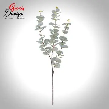 Daun Eucaliptus