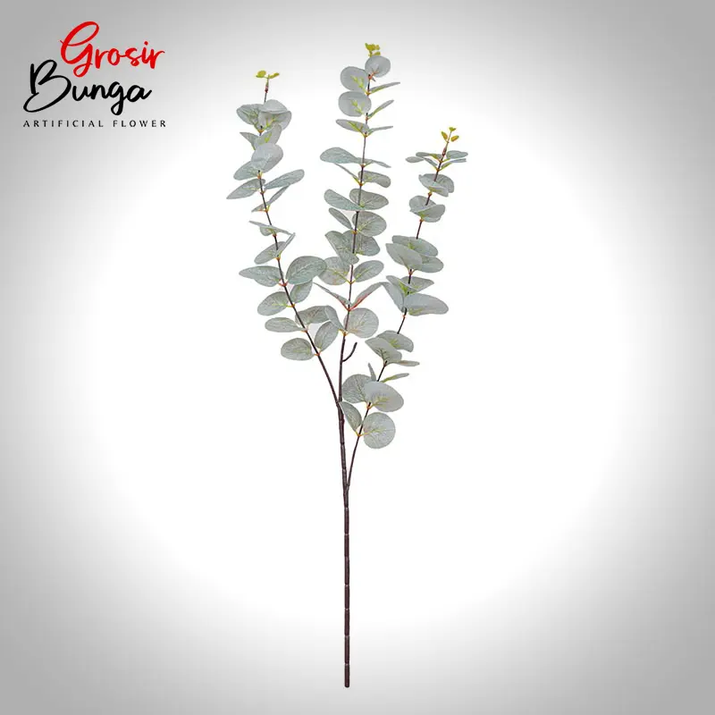 Daun Eucaliptus