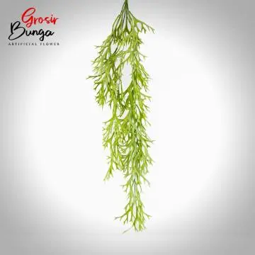 Daun Tanduk Rusa