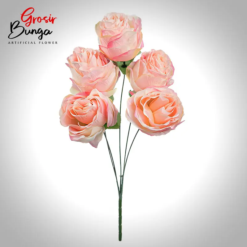 Rose Avalene Pink Soft