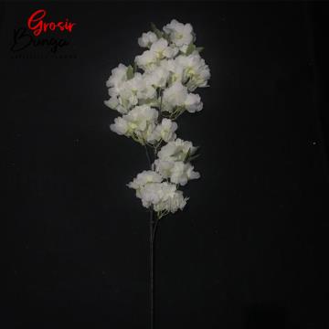 Bunga Cherry Blossom Putih Berdaun