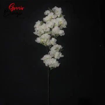 Bunga Cherry Blossom Putih Berdaun