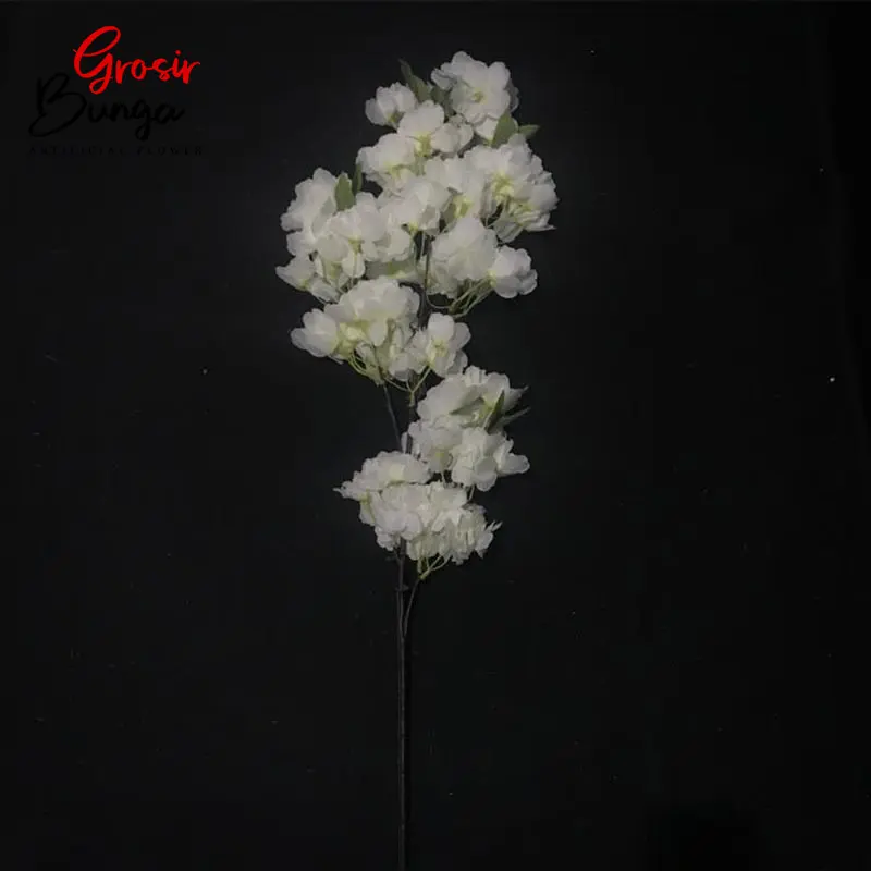 Bunga Cherry Blossom Putih Berdaun