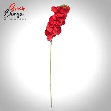 Bunga Anggrek Bulan Merah
