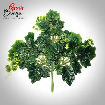 Daun Anggur Super