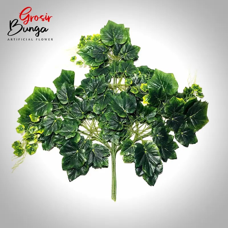 Daun Anggur Super