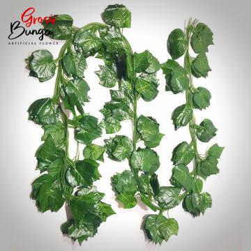 Daun Anggur Rambat Besar