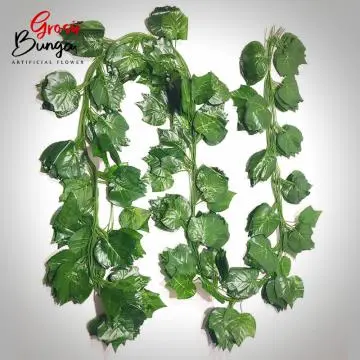 Daun Anggur Rambat Besar